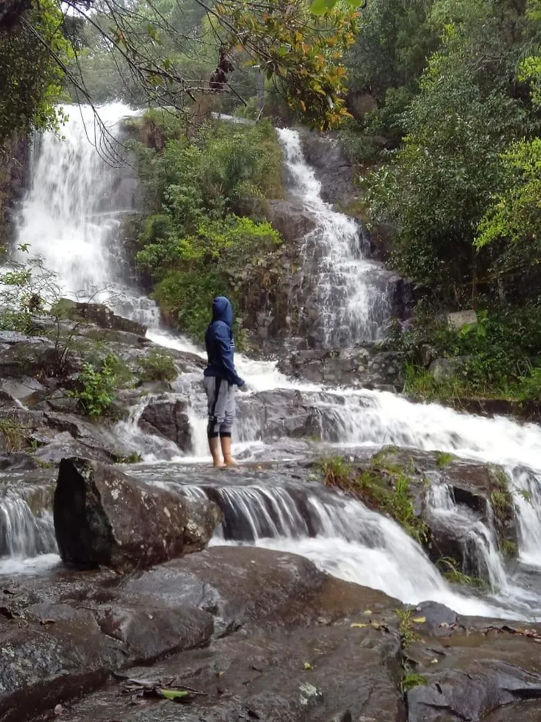 ** Parque de Campismo Soluna Veg - Diárias de Quartos e Chalés na temporada Florianópolis Brasil
