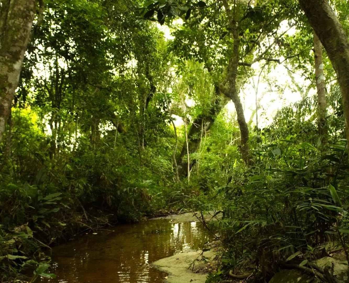 Soluna Veg - Diárias de Quartos e Chalés na temporada Florianópolis